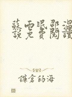 苏雨眠邵温白小说免费阅读最新章节列表