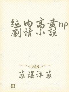 纯肉高黄np无剧情小说