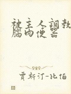 被主人调教成无脑肉便器