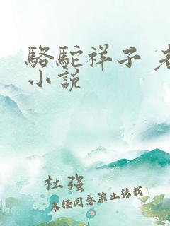 骆驼祥子 老舍小说