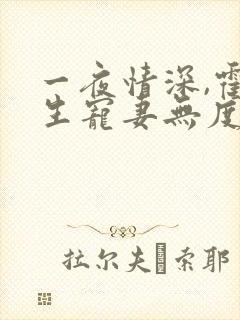 一夜情深,霍先生宠妻无度丨