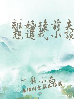 离婚后前夫总是想追我小说免费阅读全集
