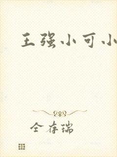 王强小可小说