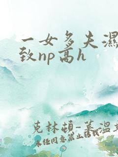 一女多夫湿润紧致np高h
