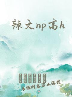 辣文np高h
