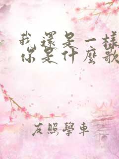 我还是一样喜欢你是什么歌的歌词