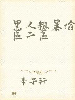 黑人粗暴偷拍一区二区