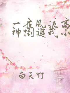 一夜风流高冷女神倒追我小说免费阅读无弹窗