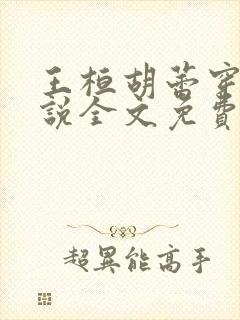 王桓胡蕾穿越小说全文免费阅读