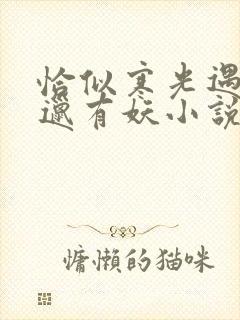 恰似寒光遇骄阳邋有妖小说正版免费