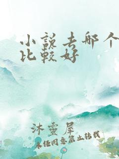 小说去哪个网站比较好