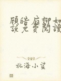 顾皓庭柳如烟小说免费阅读最新章节