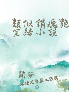 类似销魂艳婢的完结小说