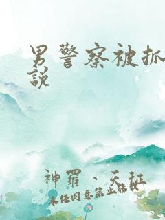 男警察被抓的小说