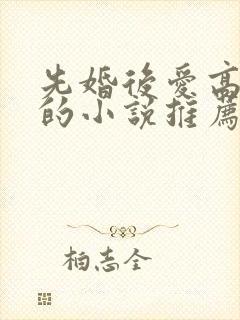先婚后爱高干文的小说推荐