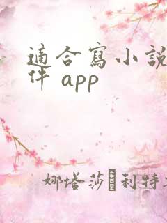 适合写小说的软件 app