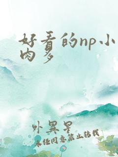 好看的np小说肉多
