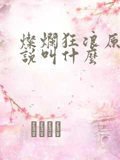 灿烂狂浪原著小说叫什么