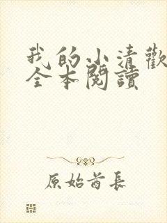 我的小清欢在线全本阅读