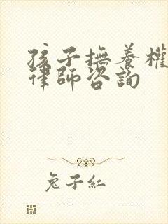 孩子抚养权起诉律师咨询