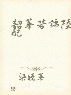 韶华若锦陆停官配