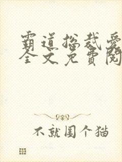 霸道总裁爱上我全文免费阅读全文