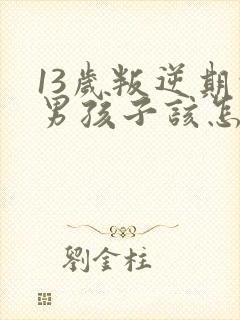 13岁叛逆期的男孩子该怎样去沟通教育