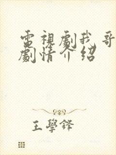 电视剧我哥我嫂剧情介绍