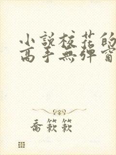 小说校花的贴身高手无弹窗全文免费阅读