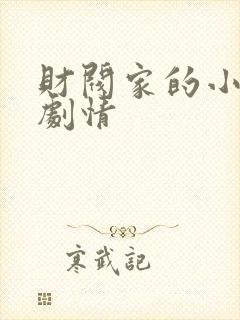 财阀家的小儿子剧情