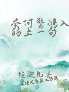 奈何惊鸿入我心的上一句