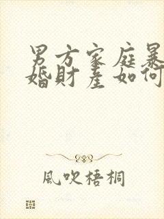 男方家庭暴力离婚财产如何分割