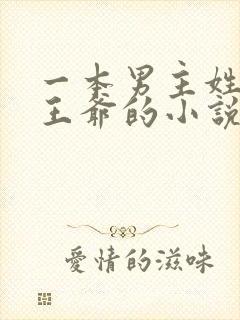 一本男主姓萧是王爷的小说