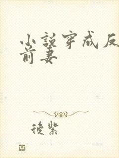 小说穿成反派他前妻