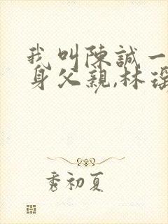 我叫陈诚一个单身父亲,林瑶小说