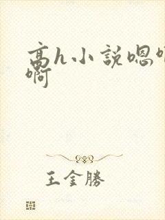 高h小说嗯啊啊啊