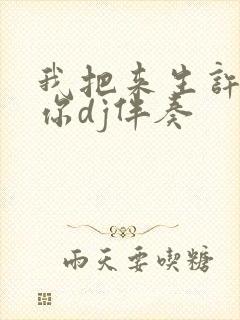 我把来生许给了你dj伴奏