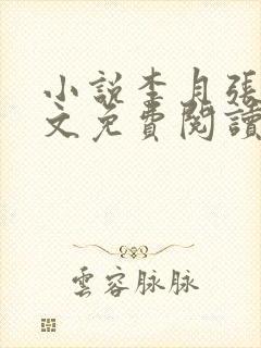 小说李月张勇全文免费阅读