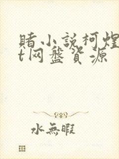 赌小说柯煜txt网盘资源