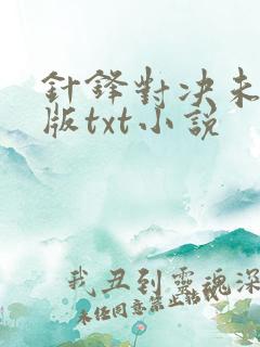 针锋对决未删减版txt小说