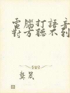 电脑打语音电话对方听不到声音