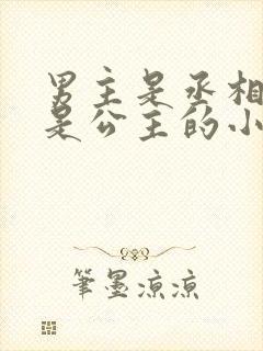 男主是丞相女主是公主的小说