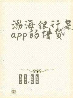 渤海银行是哪个app的借贷