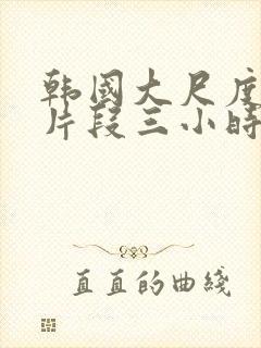 韩国大尺度激情片段三小时合集