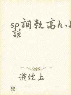 sp调教高h小说