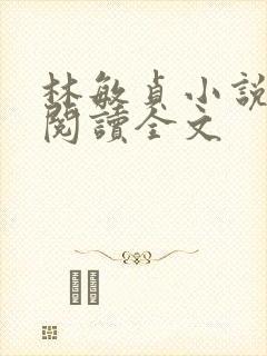 林敏贞小说在线阅读全文