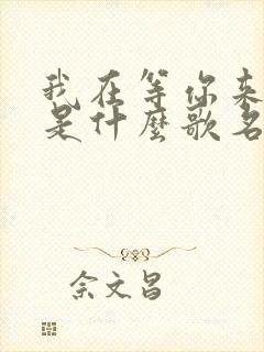 我在等你来回答是什么歌名