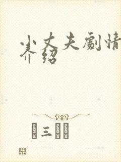 小丈夫剧情分集介绍