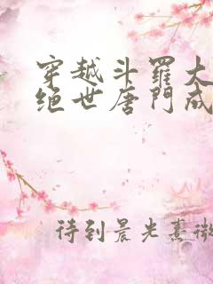 穿越斗罗大陆2绝世唐门成为霍雨浩的小说