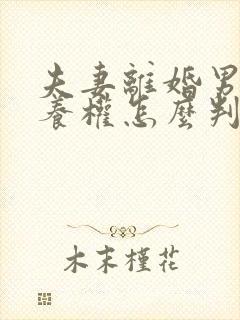 夫妻离婚男孩抚养权怎么判定